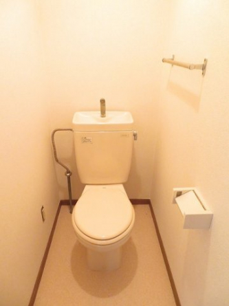 落ち着いた色調のトイレです