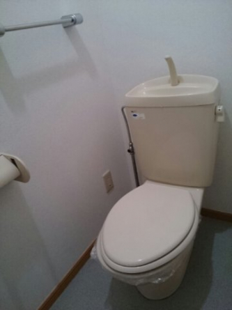 落ち着いた色調のトイレです