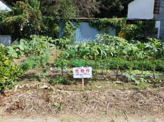 千葉県鎌ケ谷市初富の売地の画像