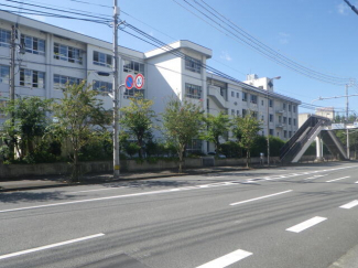 松山市立新玉小学校まで1500m