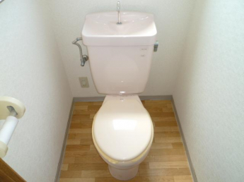 落ち着いた色調のトイレです