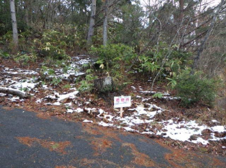 岡山県真庭市蒜山西茅部の売地の画像