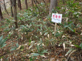 福島県郡山市湖南町赤津字四十房の売地の画像