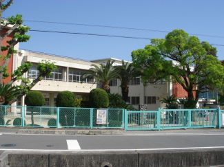 南吉井小学校 1100m