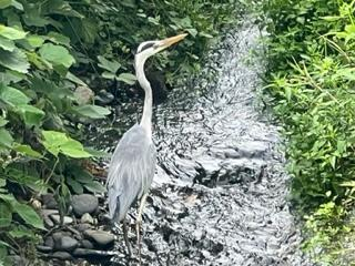 高島市今津町浜分の売地の画像