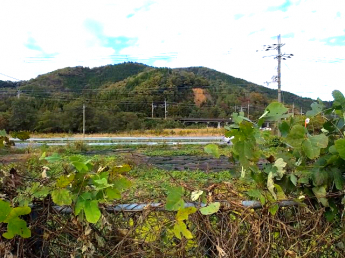 マキノ町高木浜１丁目200坪土地の画像