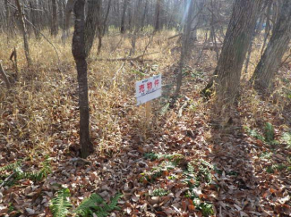 北海道苫小牧市字植苗の売地の画像