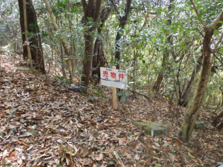 山口県大島郡周防大島町大字小松の売地の画像