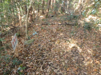 山口県大島郡周防大島町大字小松の売地の画像