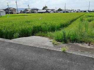 松山市高井町の売地の画像