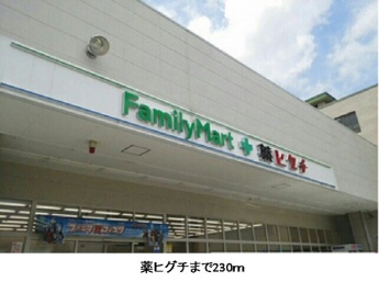薬ヒグチまで230m