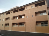 ｓｃｈｏｎｅ小町の画像