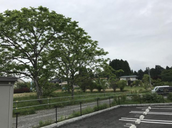 緑豊かな住宅街です