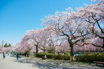 榴岡公園まで665m