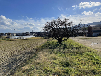 奈良県葛城市今在家の画像