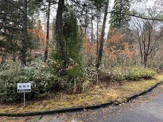 岡山県真庭市蒜山下徳山の売地の画像