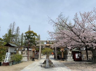 阿部野神社まで392m