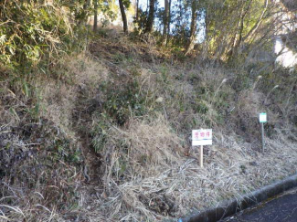 鹿児島県霧島市霧島大窪の売地の画像