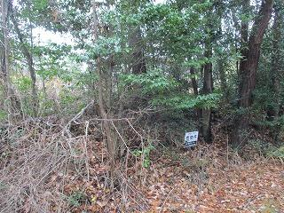 滋賀県蒲生郡日野町大字上駒月の売地の画像