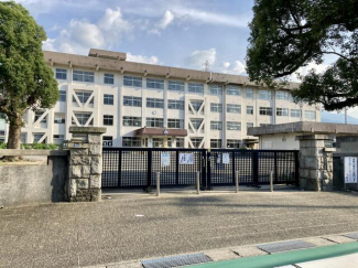 新居浜市立中萩小学校まで1346m