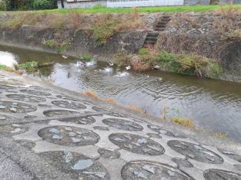 伊予郡松前町大字昌農内の売地の画像
