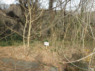 群馬県高崎市寺尾町の売地の画像