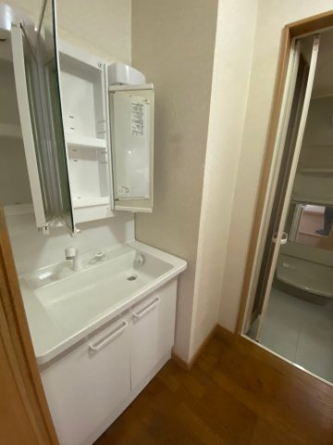 大きめの洗面台は使い勝手もよく、鏡裏にも収納スペースもあります！