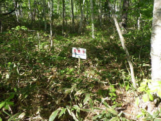 北海道北広島市輪厚の売地の画像