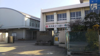 松山市立椿小学校まで1146m