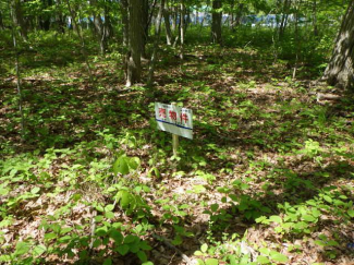 北海道苫小牧市字植苗の売地の画像