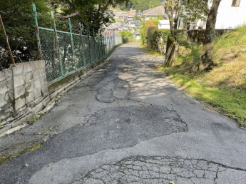 前面道路含む現地写真です