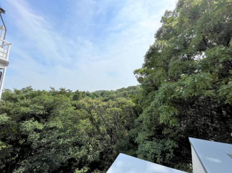 バルコニーからの眺望。甲山森林公園が目前に広がり、自然を感じ