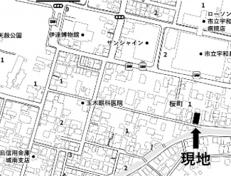 現地地図