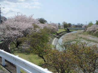 松山市新石手の売地の画像