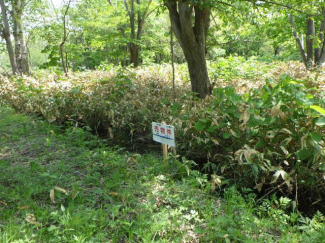 北海道札幌市南区砥山の売地の画像