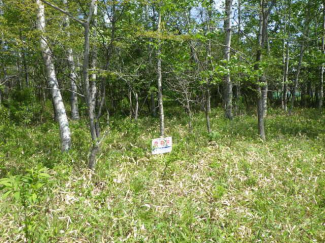 北海道苫小牧市字植苗の売地の画像