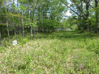 北海道苫小牧市字植苗の売地の画像