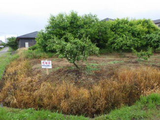 愛知県日進市東山３丁目の売地の画像