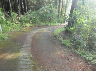 静岡県伊東市宇佐美の売地の画像