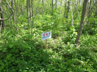 北海道札幌市北区篠路町拓北の売地の画像