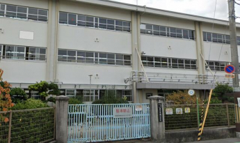 藤井寺市立藤井寺南小学校まで913m