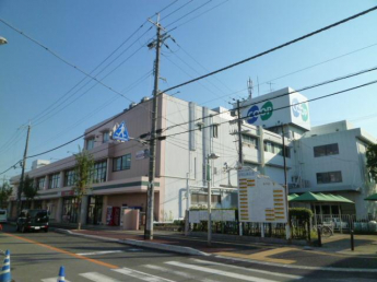 沢野