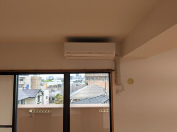 ジェイシティ持田の画像