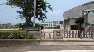 道後小学校まで1200m