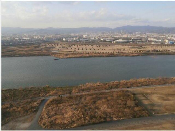 淀川河川公園　までまで1m