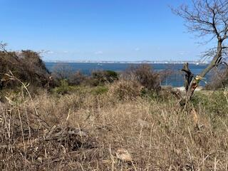 兵庫県淡路市野島江崎の売地の画像