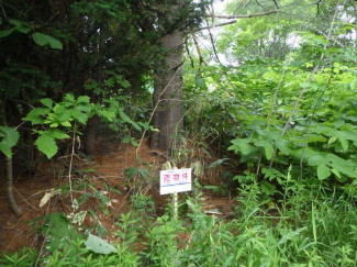 北海道札幌市南区北ノ沢の売地の画像