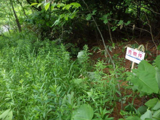 北海道札幌市南区北ノ沢の売地の画像