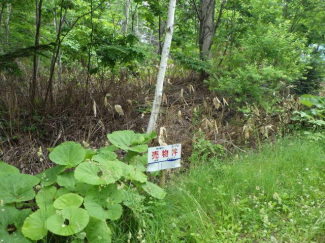 北海道磯谷郡蘭越町字湯里の売地の画像