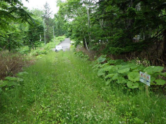 北海道磯谷郡蘭越町字湯里の売地の画像